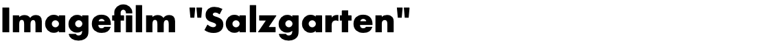 Imagefilm "Salzgarten"